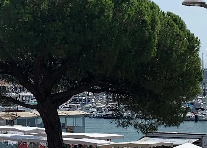 Terrasse Avec Superbe Vue Mer & Pieds Dans L'Eau